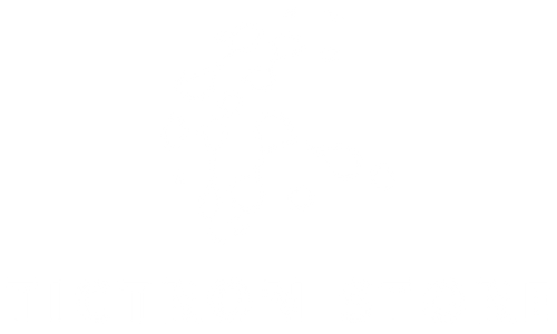 Tictron Store